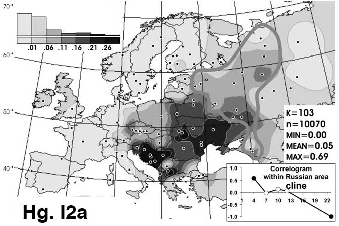 dinaric-i2a-distribution