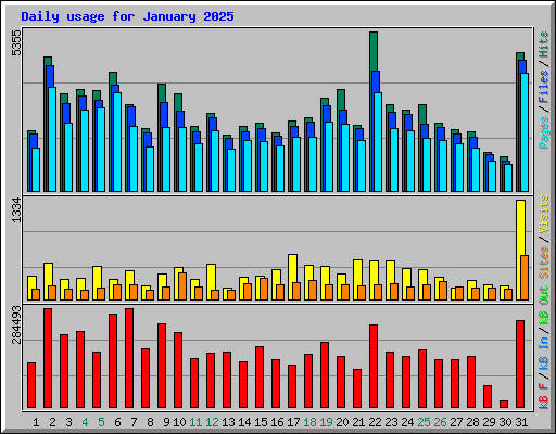 Daily usage for January 2025
