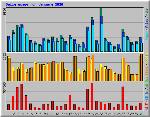 Daily usage for January 2026