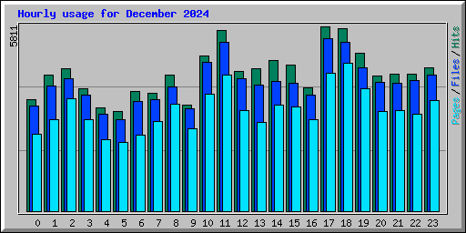 Hourly usage for December 2024