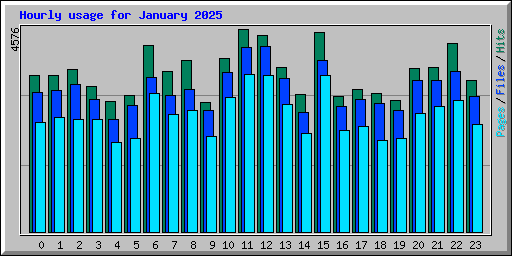 Hourly usage for January 2025