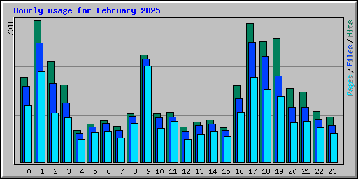 Hourly usage for February 2025