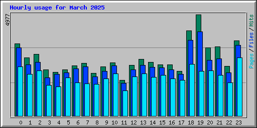 Hourly usage for March 2025