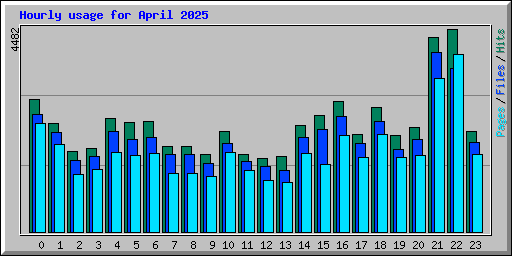 Hourly usage for April 2025