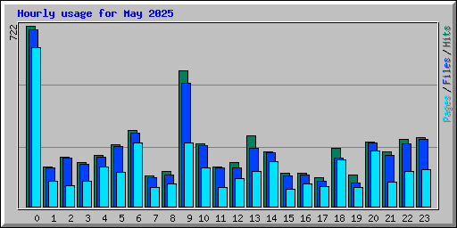Hourly usage for May 2025