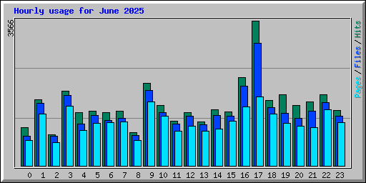 Hourly usage for June 2025