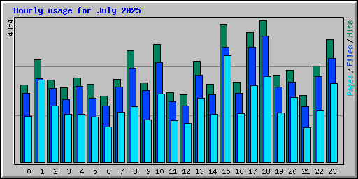Hourly usage for July 2025