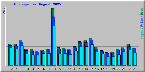 Hourly usage for August 2025