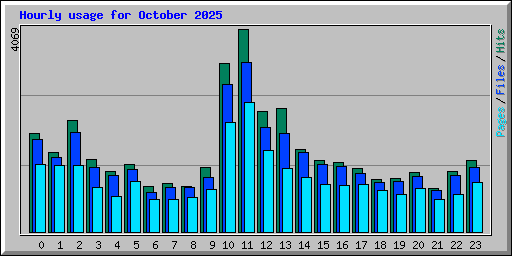 Hourly usage for October 2025