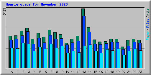 Hourly usage for November 2025