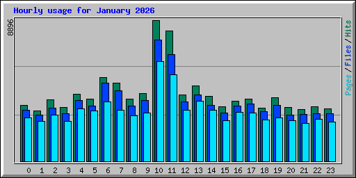 Hourly usage for January 2026