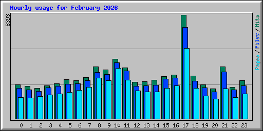 Hourly usage for February 2026