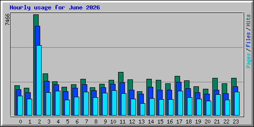 Hourly usage for June 2026